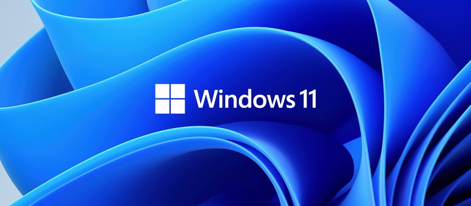 [情報] Windows 11在組織內部的採用率仍低於3%
