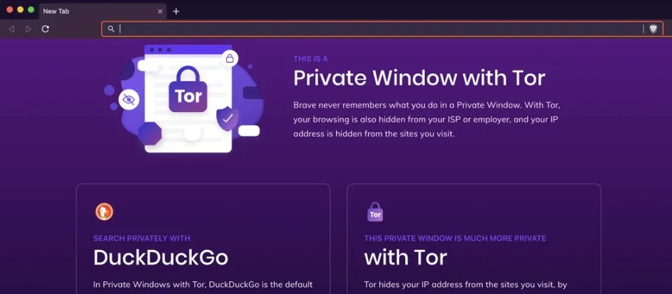 Private browser tor tor browser nsis error gidra