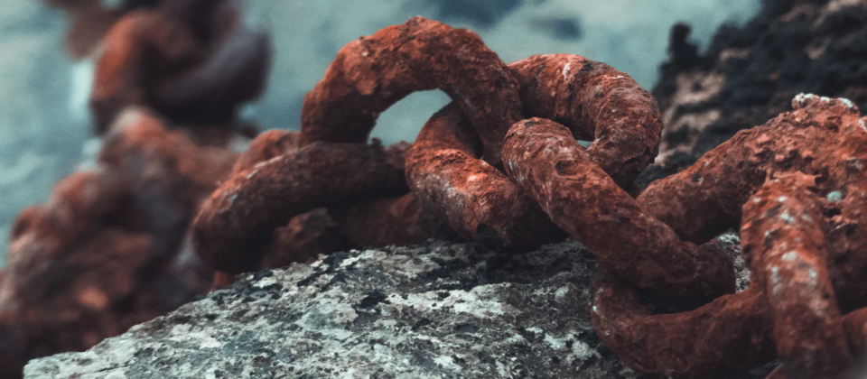 Photo by David Boca on unsplash