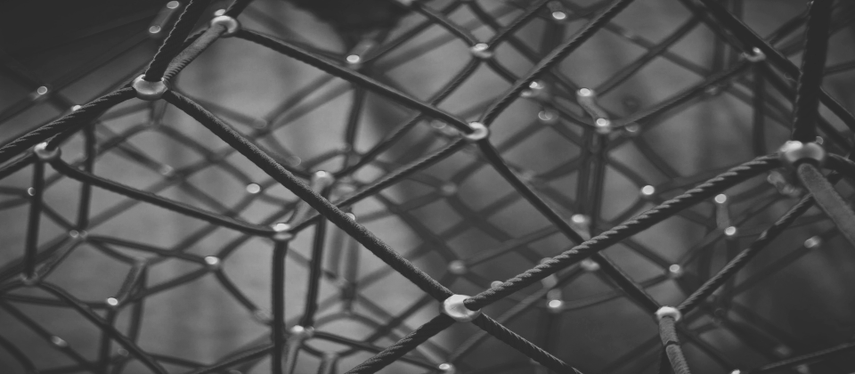 情境示意圖,Photo by Clint Adair on Unsplash