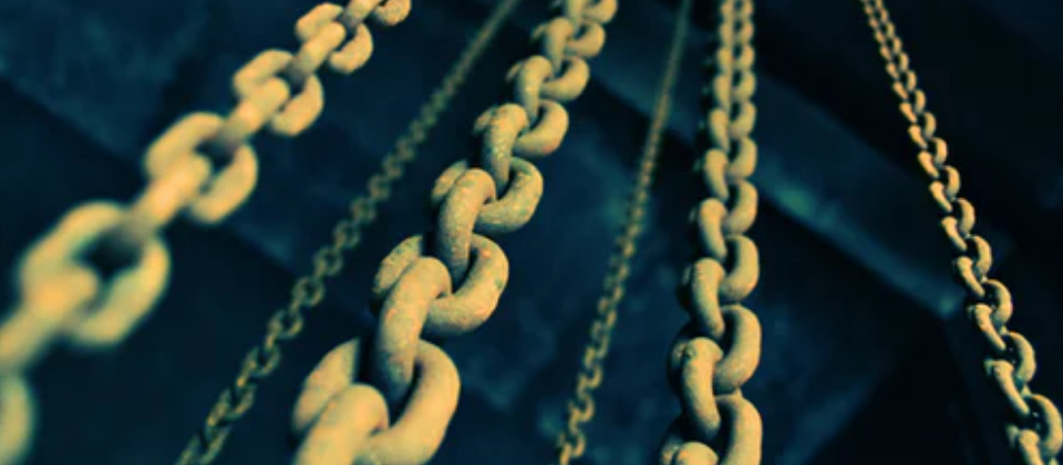 Photo by Fré Sonneveld on unsplash