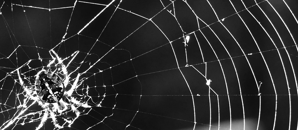 Photo by Marcus Lange on unsplash