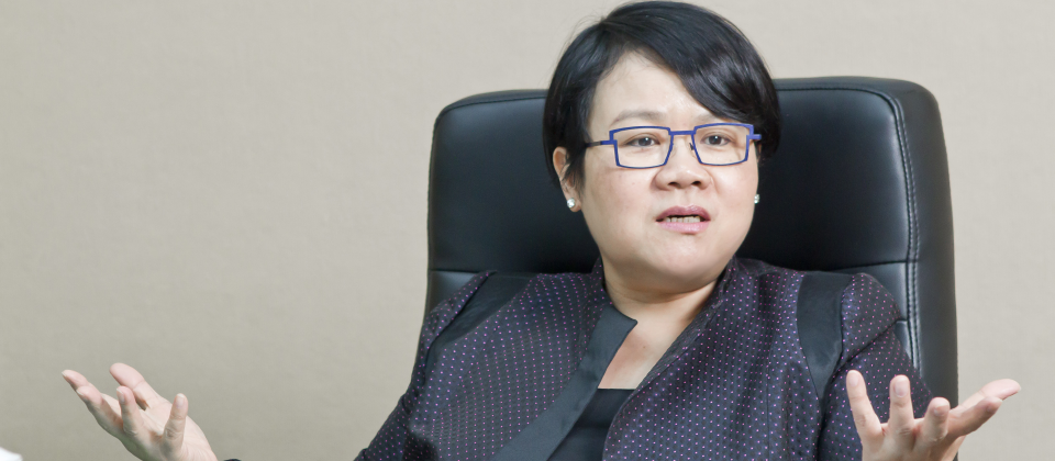 行政院政務委員蔡玉玲表示,為了解決政府個資如何落實匿名化和去識別化,便由國家標準檢驗局制定兩個新的國家標準作為參考。