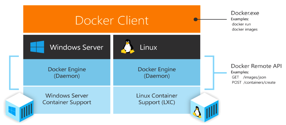 微軟在Windows Server中內建Docker引擎,讓開發者建立Docker化的應用程式,可以在Linux、Windows的異質環境中運作。(圖片來源/微軟)