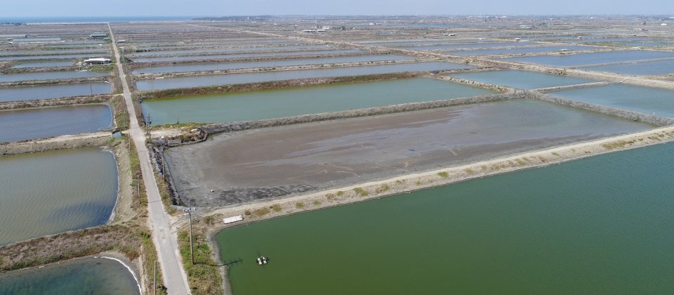 Google採購的再生能源將來自台南的養殖魚塭架設4萬個太陽能面板。