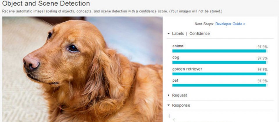 Rekognition利用機器學習可辨識物件或場景,也可辨識不同狗的品種。