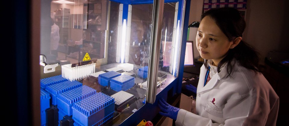 在聖猶達兒童研究醫院的基因組定序實驗室工作的科學家。