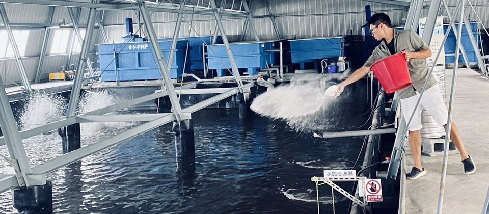 資策會與台塩綠能合作建置的養殖漁業示範場域,就是透過IoT蒐集環境參數,再數位化達人養殖經驗,以此建立起魚塭數位分身,來提升魚蝦育成率。(圖片來源/資策會)