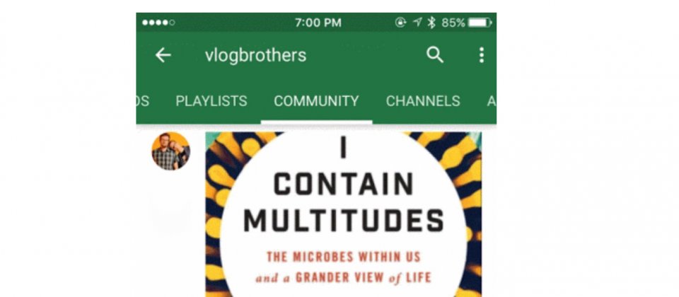 YouTube頻道的訂戶瀏覽時會發現多了一個「 Community」標籤, 點選後就能瀏覽頻道主分享的資訊。
