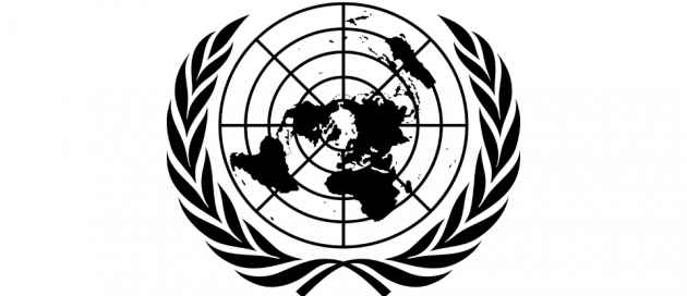 Photo credit: Shizhao Abhi018 on https://commons.wikimedia.org/wiki/File:Logo_of_the_United_Nations_(B%26W).svg (public domain)