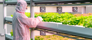 大同整合旗下資源,結合農業技術、系統研發、品質管理、採購產銷和行銷業務人力組成研發團隊,另外也整合了大同大學生物工程系的農技研發資源。