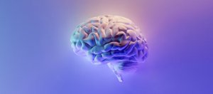 Photo by <a href="https://unsplash.com/@fakurian?utm_source=unsplash&utm_medium=referral&utm_content=creditCopyText">Milad Fakurian</a> on <a href="https://unsplash.com/photos/blue-and-green-peacock-feather-58Z17lnVS4U?utm_source=unsplash&utm_medium=referral&utm_content=creditCopyText">Unsplash</a>