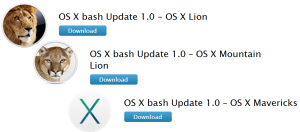 蘋果只修補了Lion (Mac OS X 10.7.5)、Mountain Lion (Mac OS X 10.8.5)及Mavericks (Mac OS X 10.9.5)三個作業系統版本