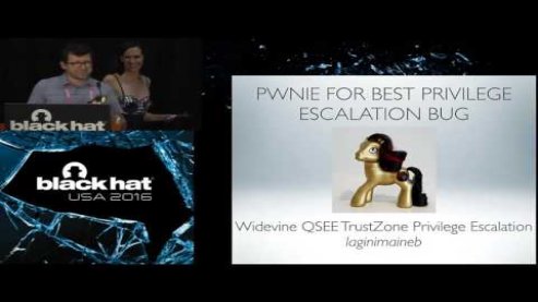 Embedded thumbnail for Pwnie Awards 2016